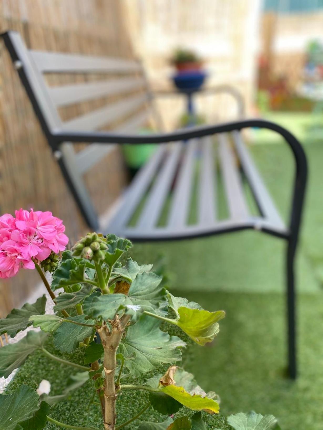 Olive Tree Hostel บารี ภายนอก รูปภาพ