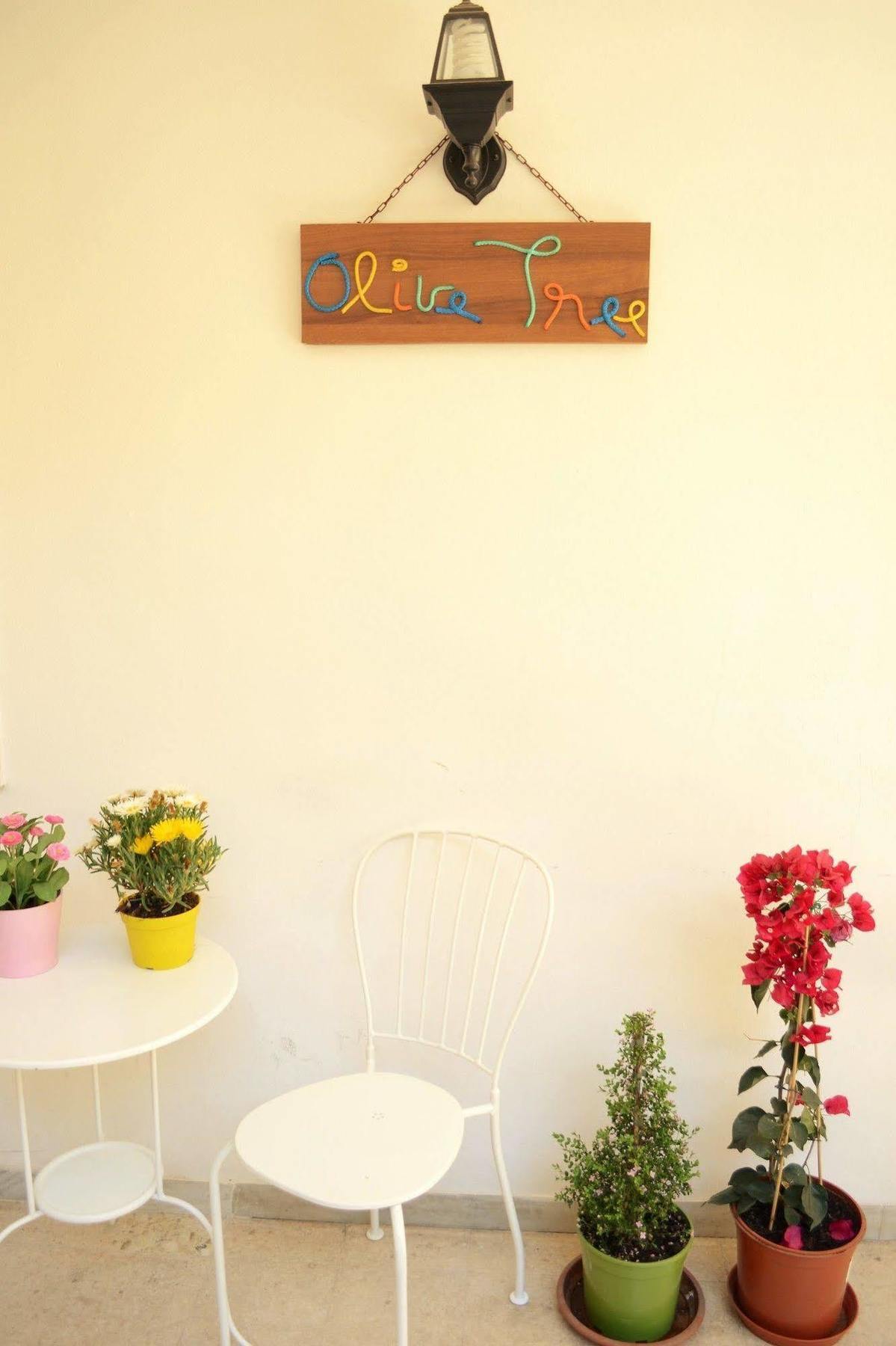 Olive Tree Hostel บารี ภายนอก รูปภาพ